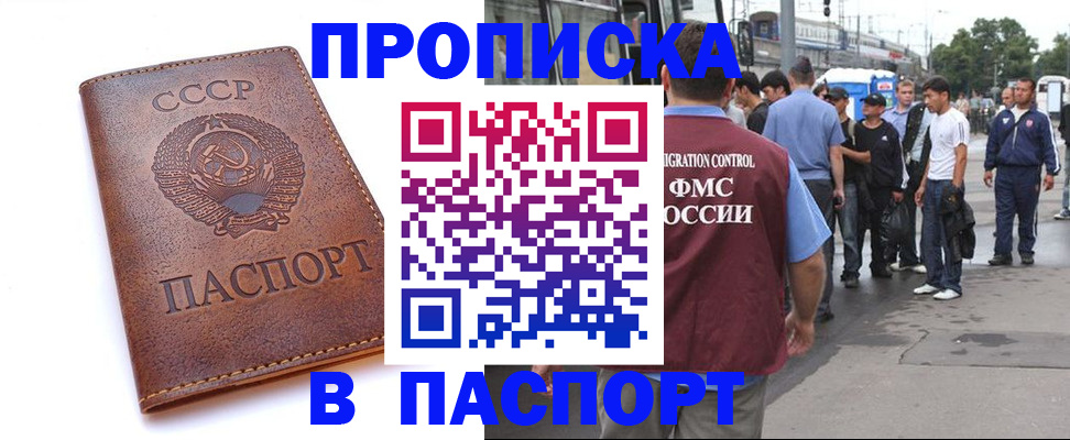 временная регистрация поиск в Заинске